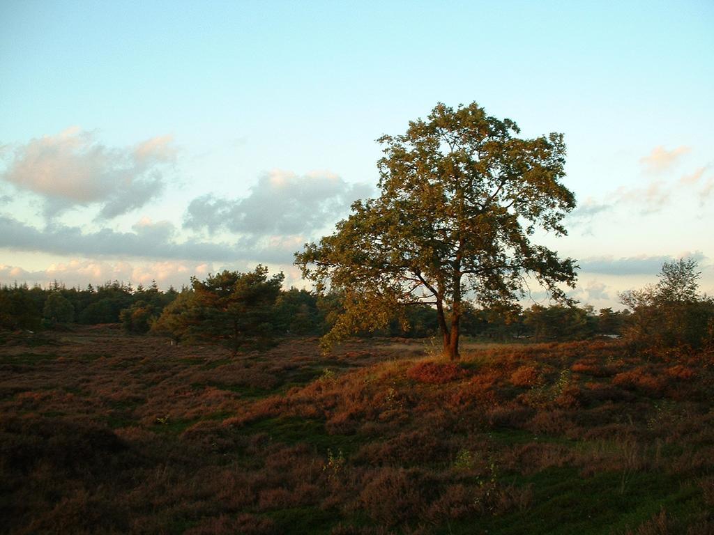 De Riekhoff Villa Een-West Eksteriør billede